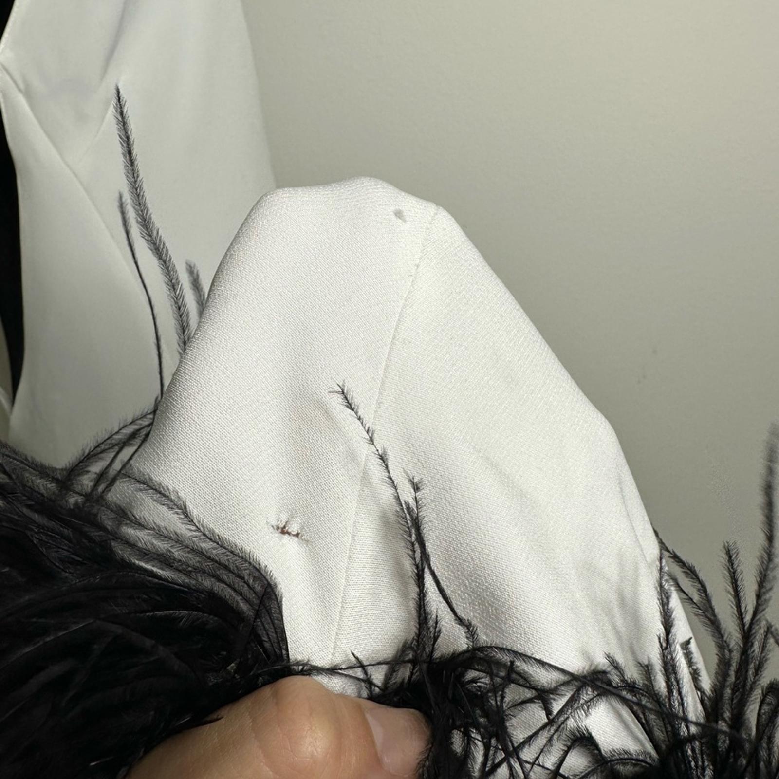 PatBo Halterneck Feather Trim Gown