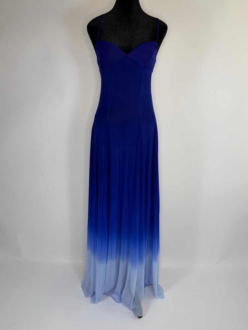 Leslie Amon Timeless Ombre Sea Dress